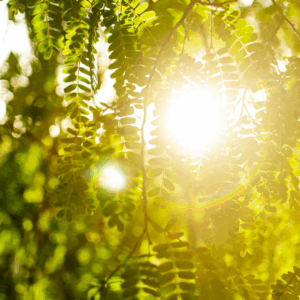 2026年スタート！